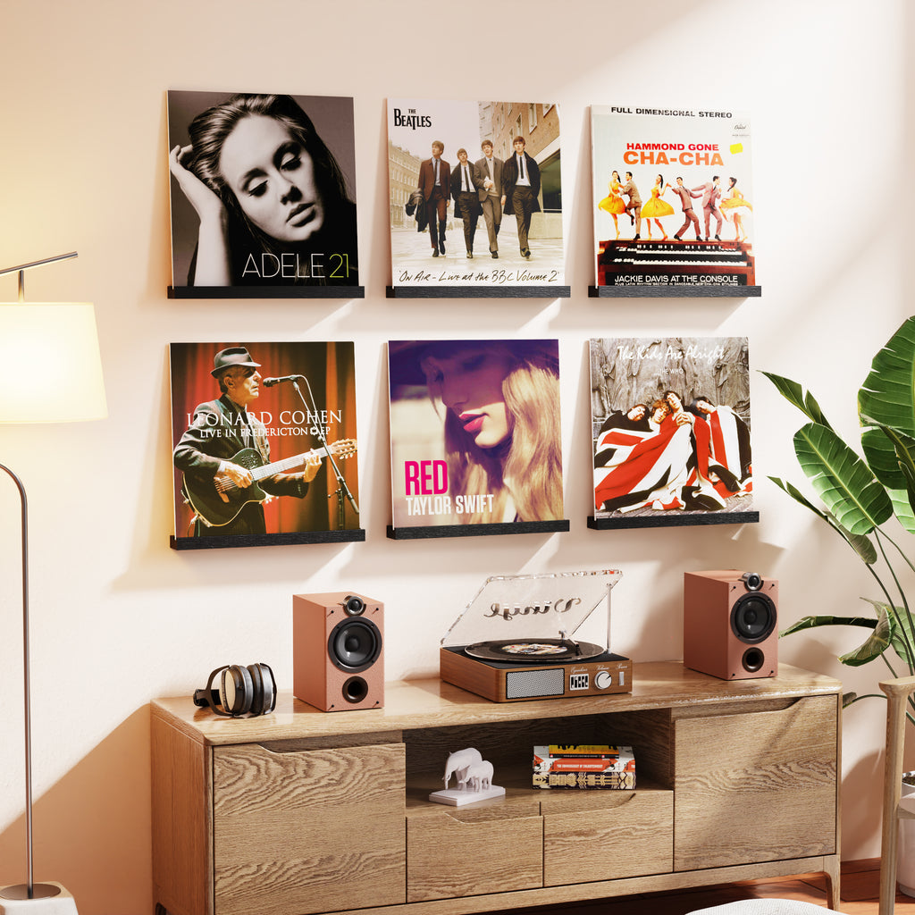 6 Pcs Vinyl Record Storage