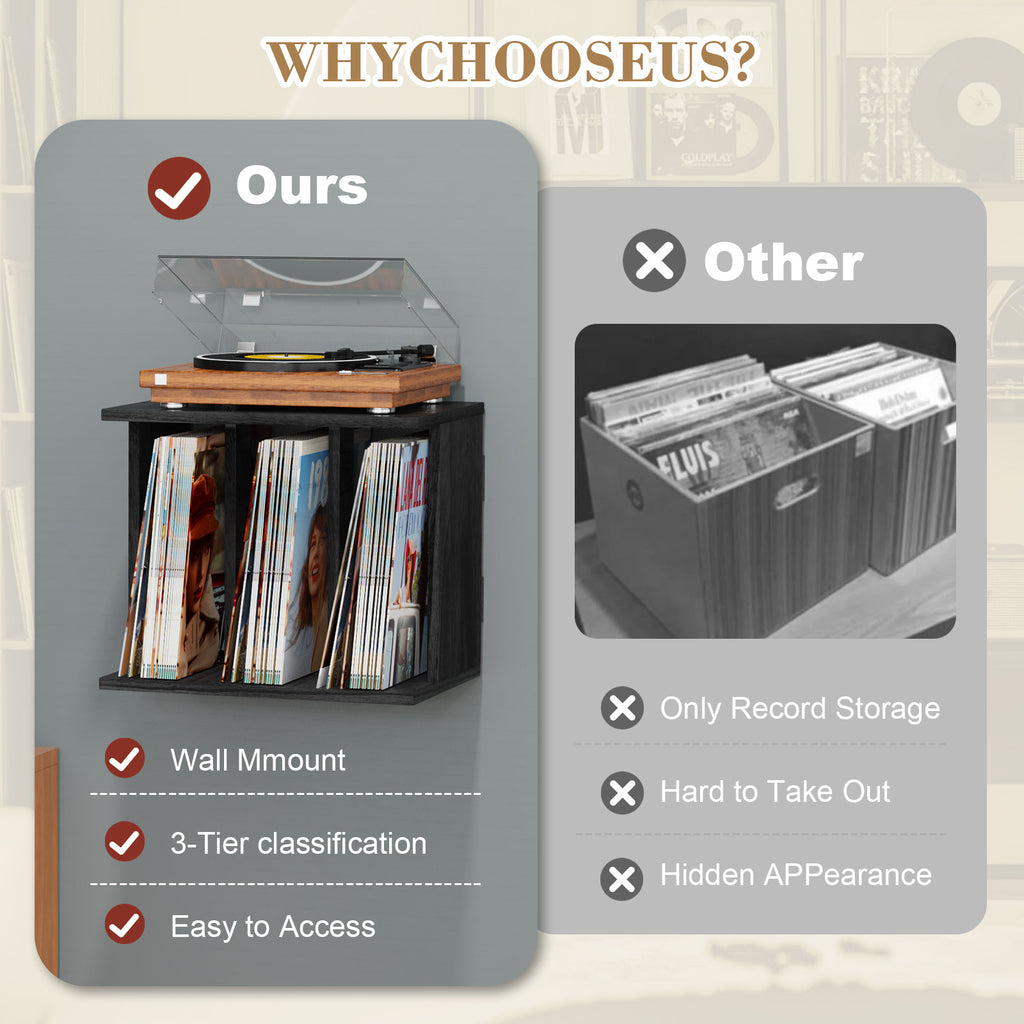 Honiway Vinyl Record Holder
