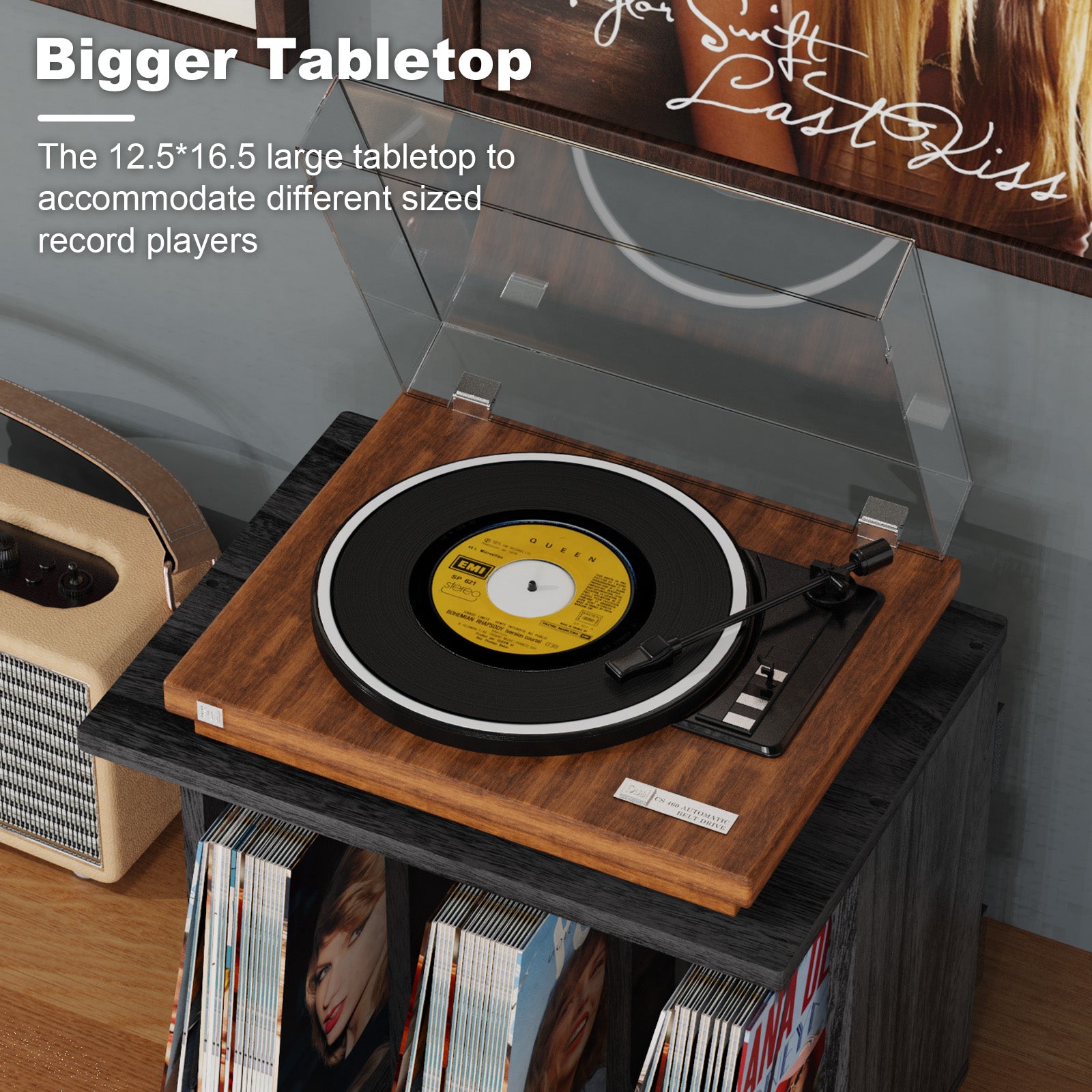 Honiway Vinyl Record Holder