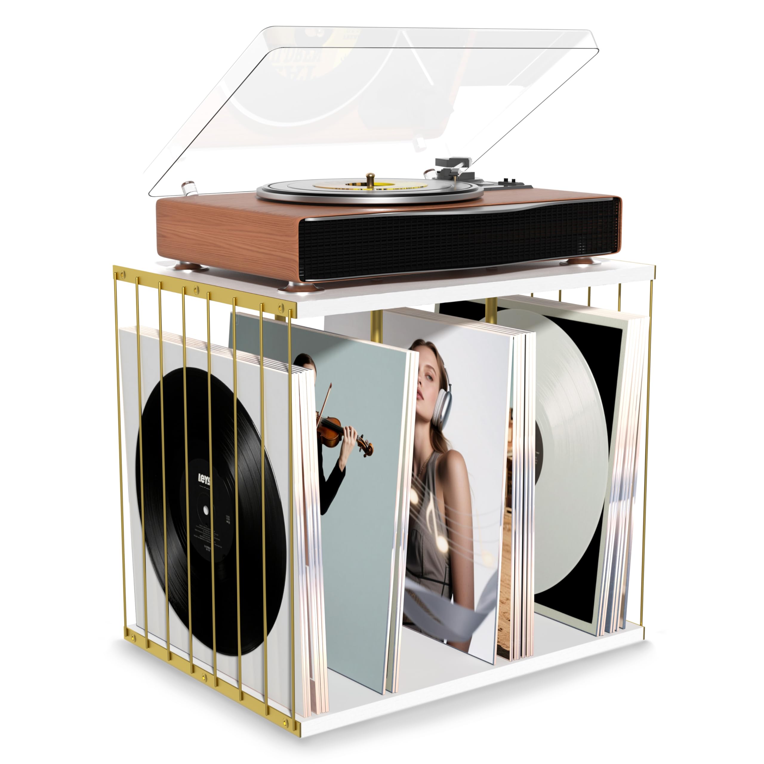 Honiway Vinyl Record Holder