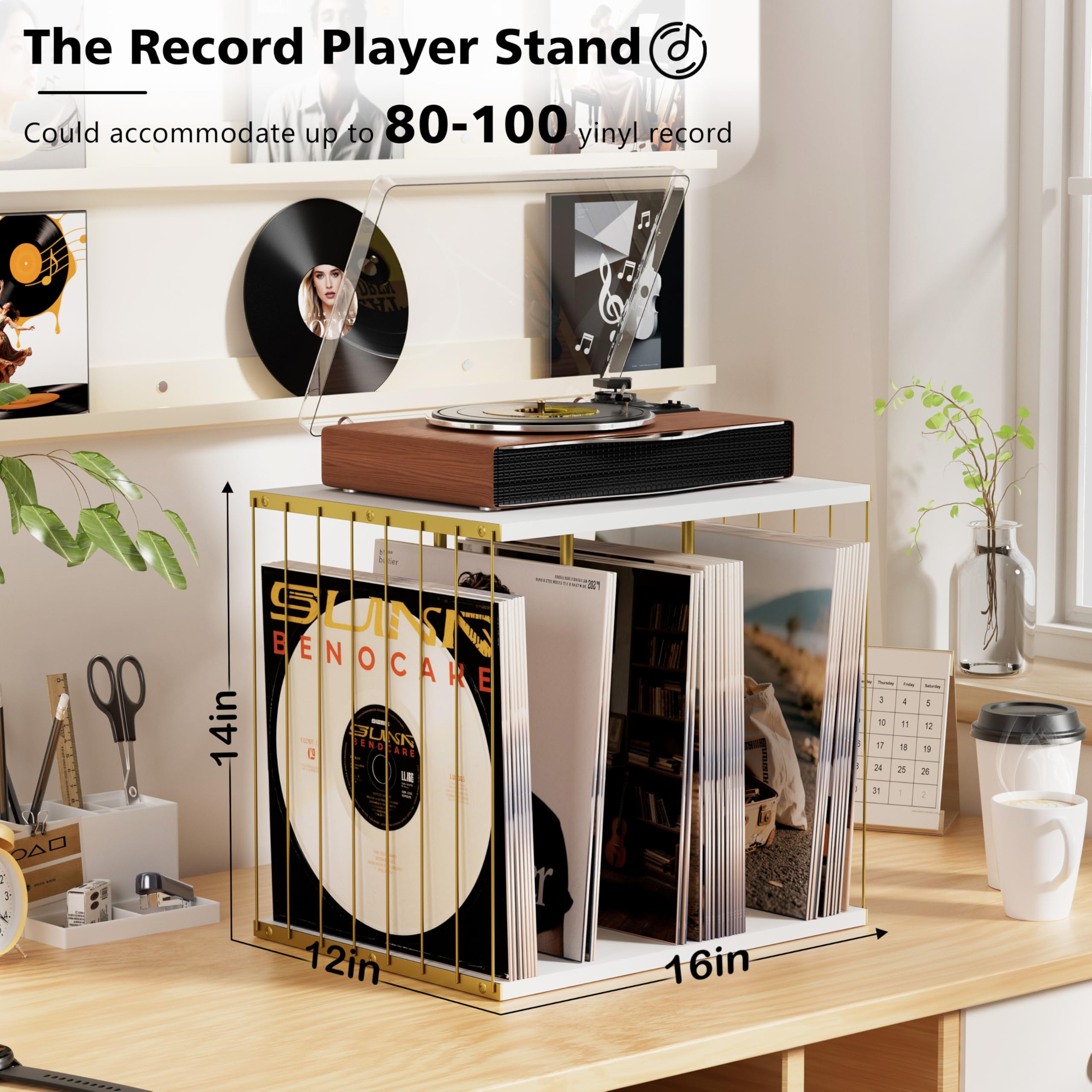 Honiway Vinyl Record Holder
