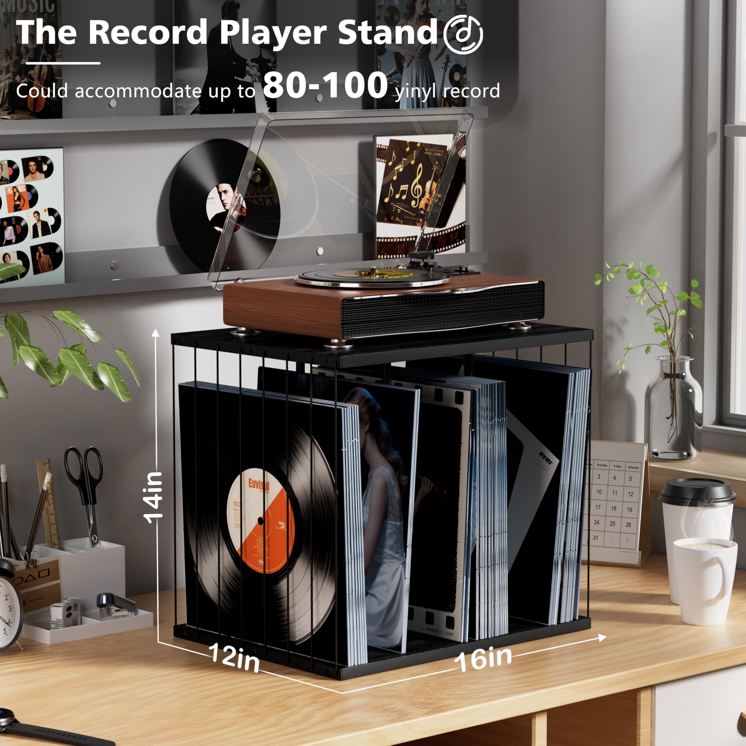 Honiway Vinyl Record Holder