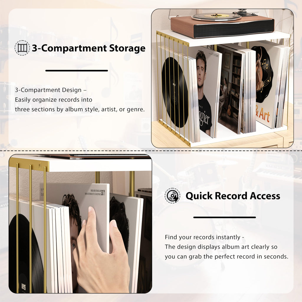 Honiway Vinyl Record Holder